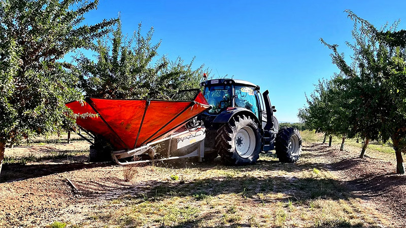 The Valtra N155 with the TwinTrac reverse drive system operated an umbrella harvester for almonds. The harvested almonds were unloaded onto a trailer. The Valtra N155 with the TwinTrac reverse drive system operated an umbrella harvester for almonds. The harvested almonds were unloaded onto a trailer.